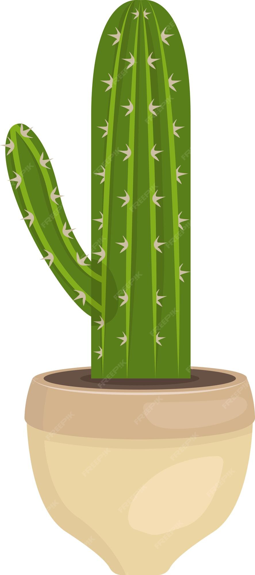 img.freepik.com/vetores-gratis/planta-cacto-saguar