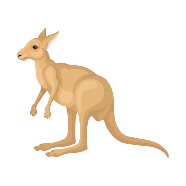 Ilustração de canguru castanho vista lateral animal australiano Grande criatura marsupial planteadora com cauda longa e pernas traseiras fortes Tema da fauna Vector plano detalhado isolado em fundo branco