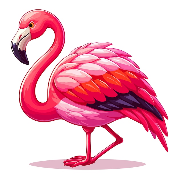 Vetor ilustração de cartão vetorial de flamingos