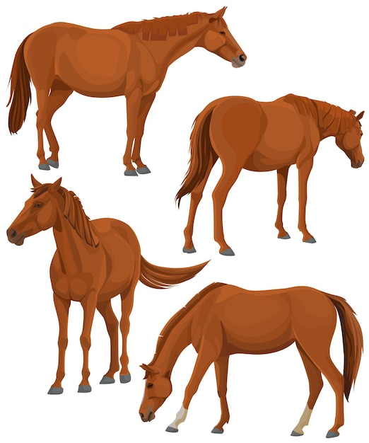 Ilustração de cavalo com poses diferentes