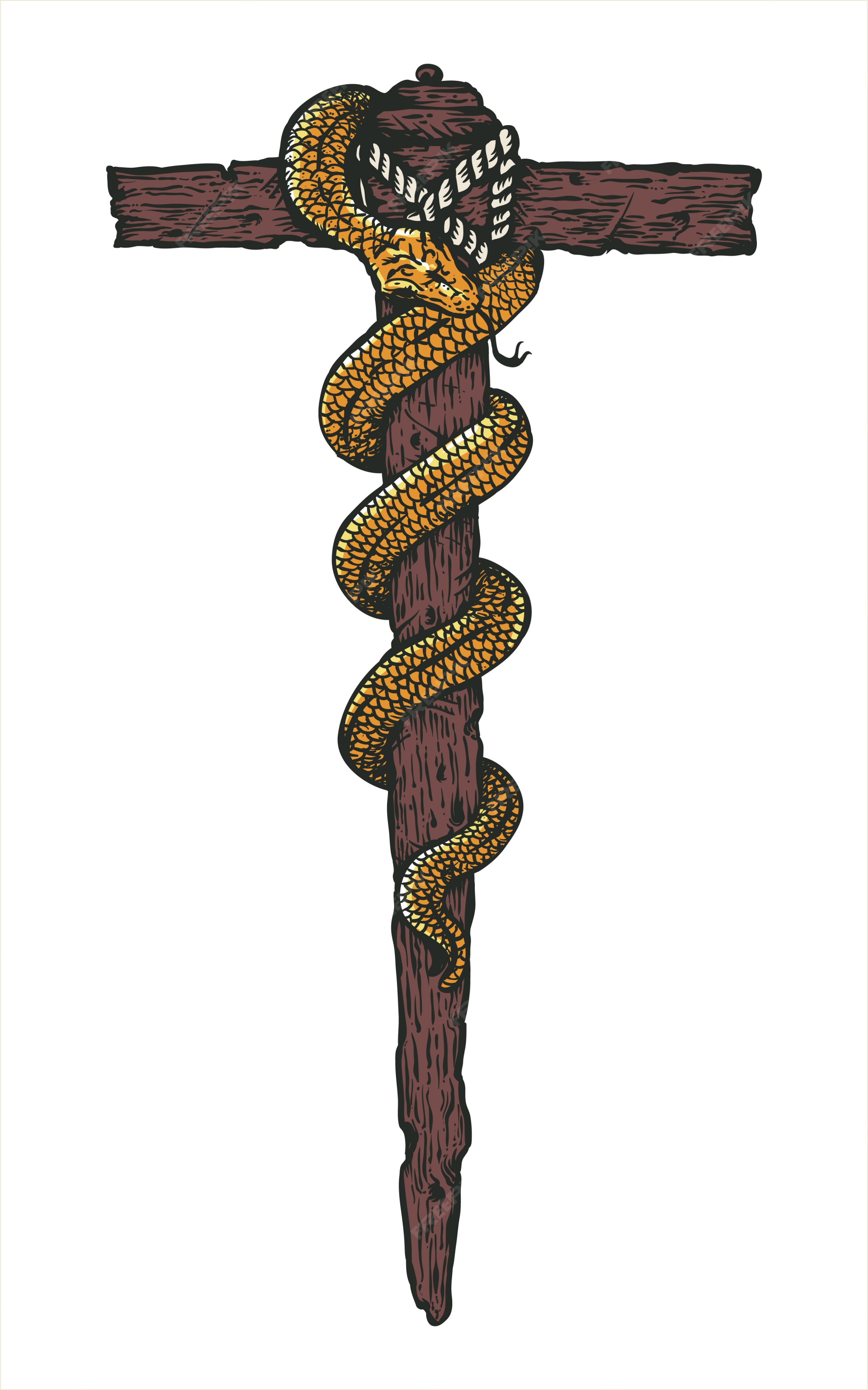 23,989 Ilustrações de Serpente