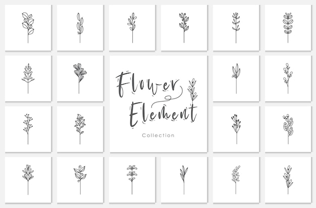 Vetor ilustração de coleção de elementos de flor coleção, vegetal, floral, doodle, desenhado à mão.