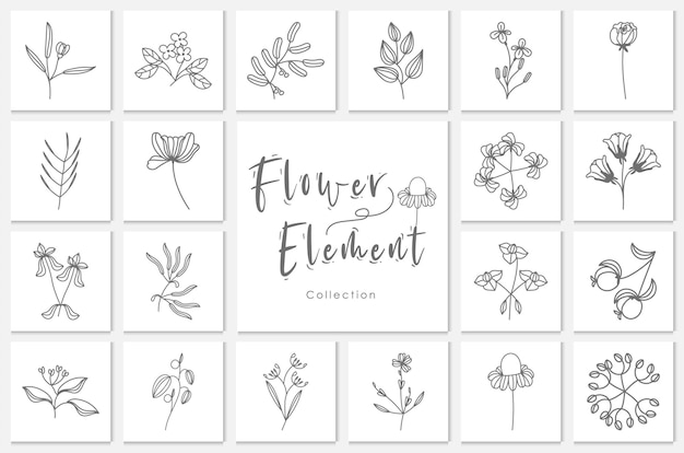 Ilustração de coleção de elementos florais