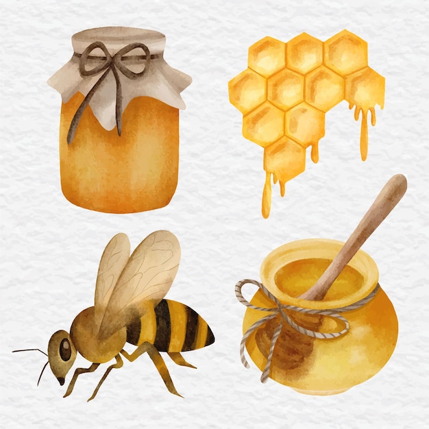 Ilustração de coleção de mel em aquarela