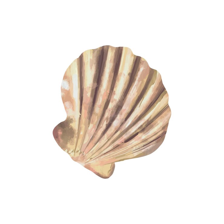 Vetor ilustração de conchas em forma de vieira em cartões de estilo aquarela, convites, capas, panfletos e banners