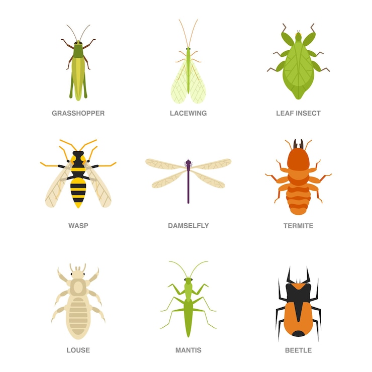 Vetor ilustração de conjunto de insetos