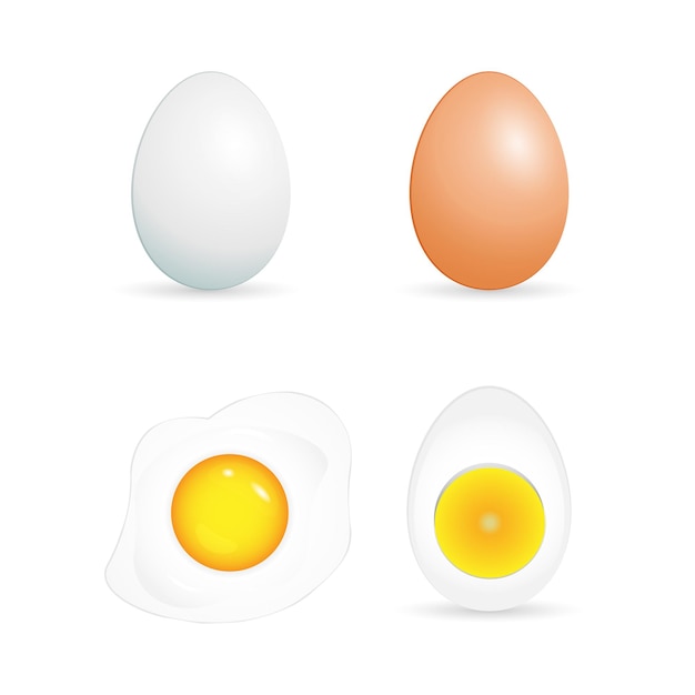 Vetor ilustração de conjunto de ovos de galinha ovo cozido e frito