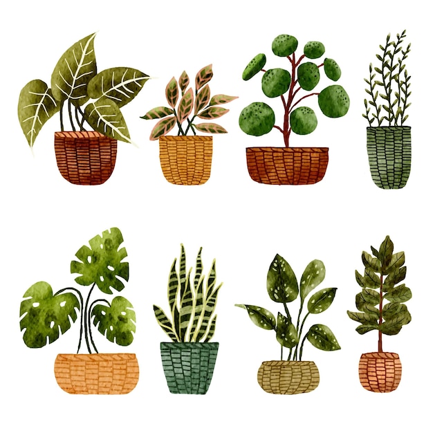 Ilustração de conjunto de planta de casa tropical em aquarela pintada à mão