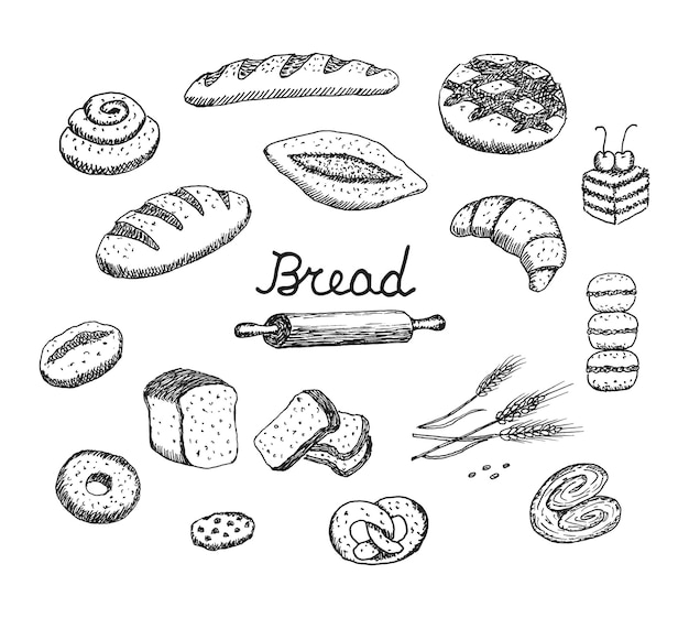 Ilustração de conjunto desenhado à mão de vetor de pão outros tipos de pão fresco de farinha de trigo coleção de padaria de alimentos