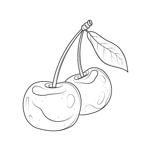 Vetor ilustração de contorno de cereja desenhada à mão