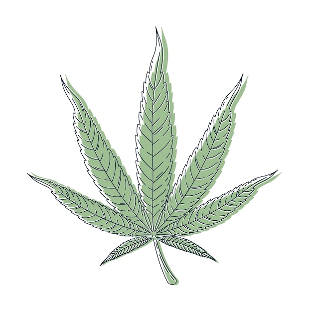 Vetor ilustração de contorno de folha de maconha desenhada de mão