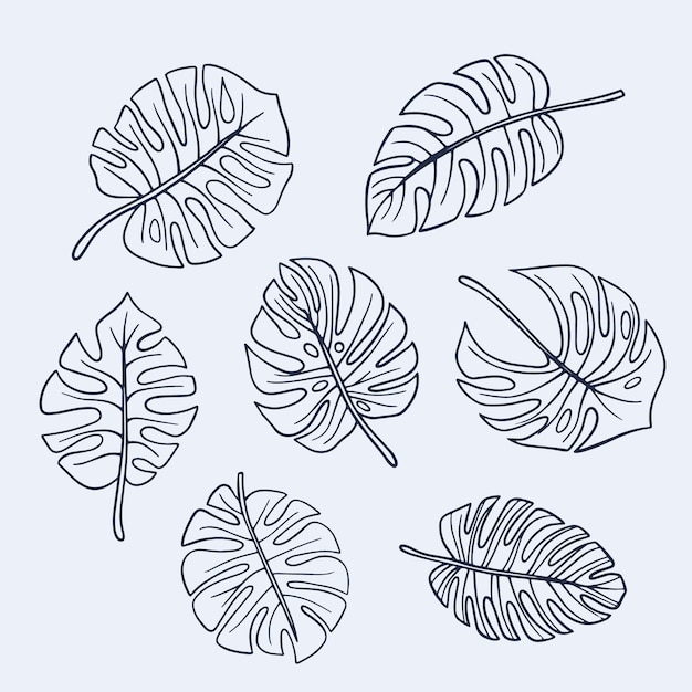 Ilustração de contorno de folha de monstera desenhada à mão