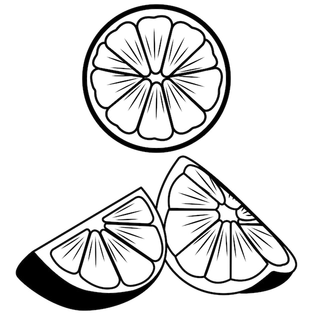 Ilustração de contorno de laranjas cortadas e inteiras. vetor. gráfico de recursos. fundo. fruta.delicioso