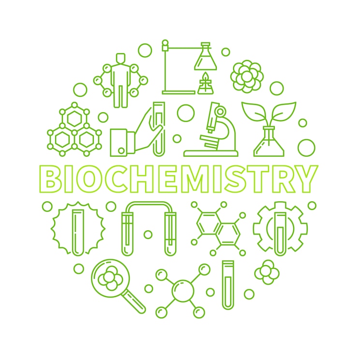 Vetor ilustração de contorno verde bioquímica rodada