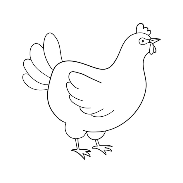 Desenho De Frango Ou Galinha De Desenho Animado. Animais De Fazenda. Livro  De Colorir Para Crianças. Royalty Free SVG, Cliparts, Vetores, e  Ilustrações Stock. Image 137949853