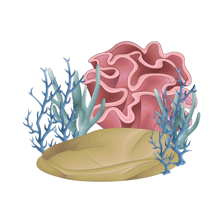 Vetor ilustração de coral