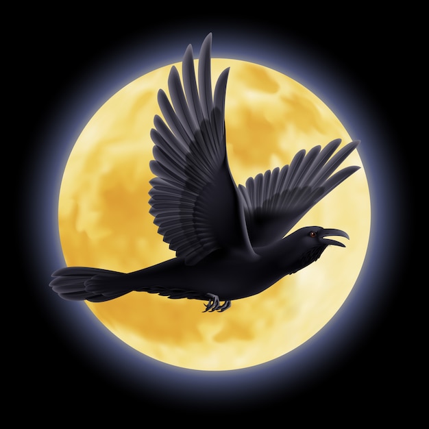 Vetor ilustração de corvo preto