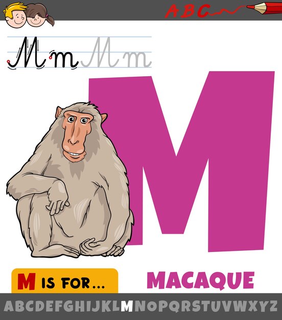 Ilustração de desenho animado educacional da letra M do alfabeto com personagem de animal macaco