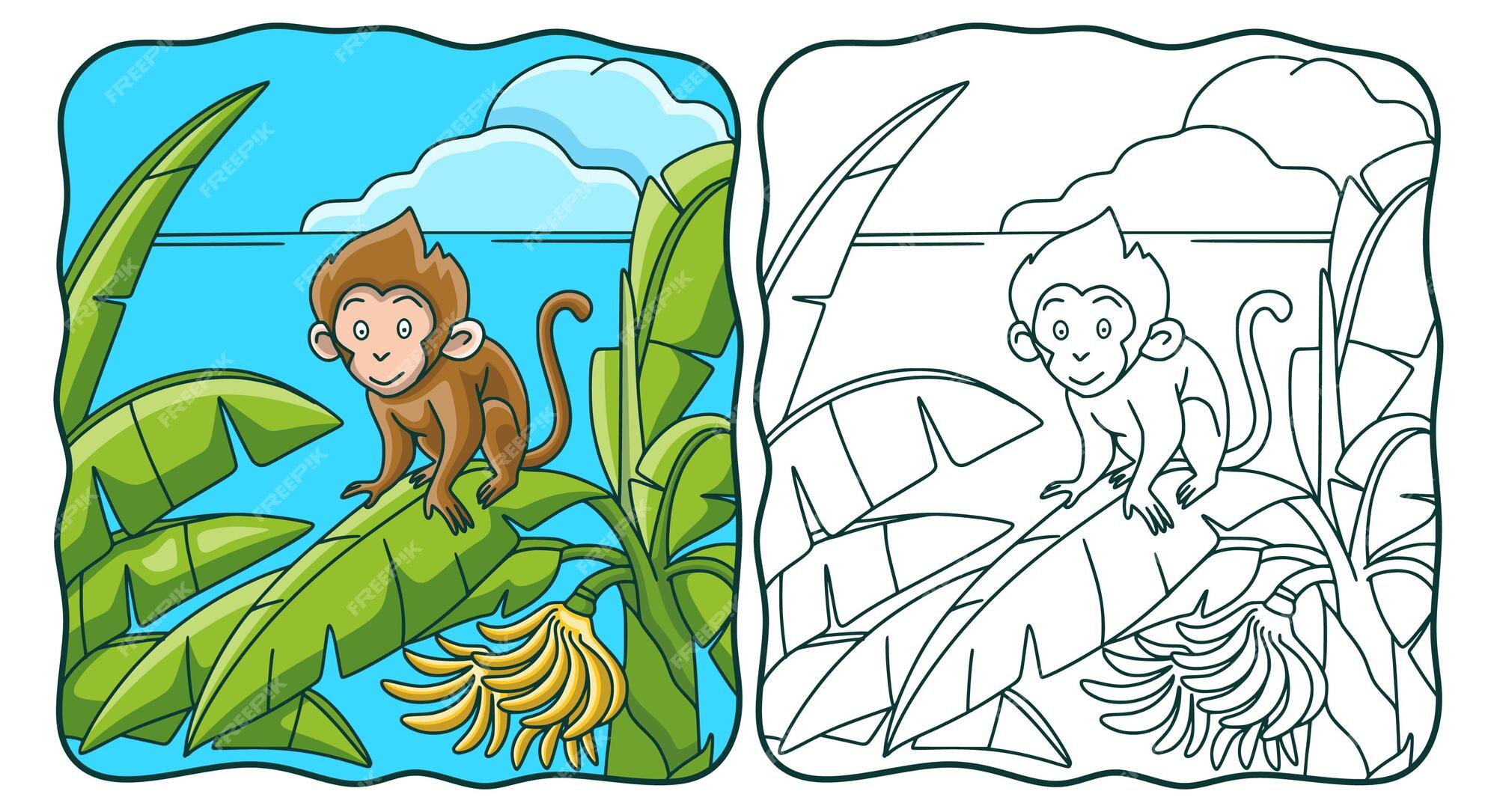 Desenho de sorriso de macaco para colorir