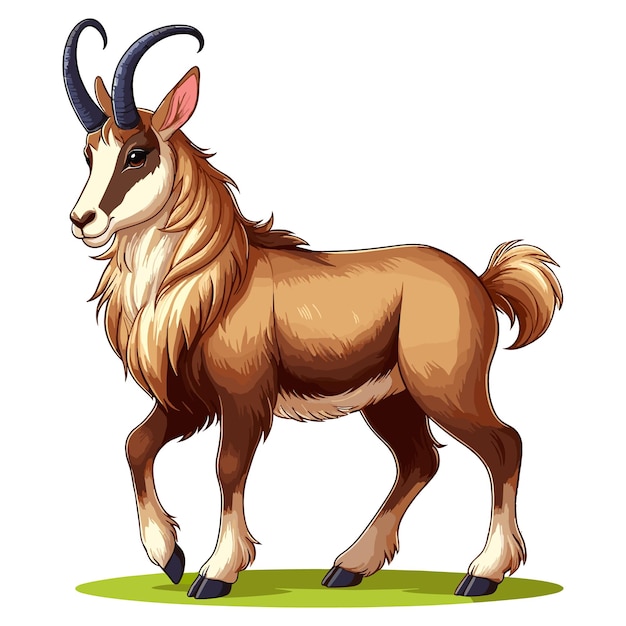 Vetor ilustração de desenho animado vetorial de chamois