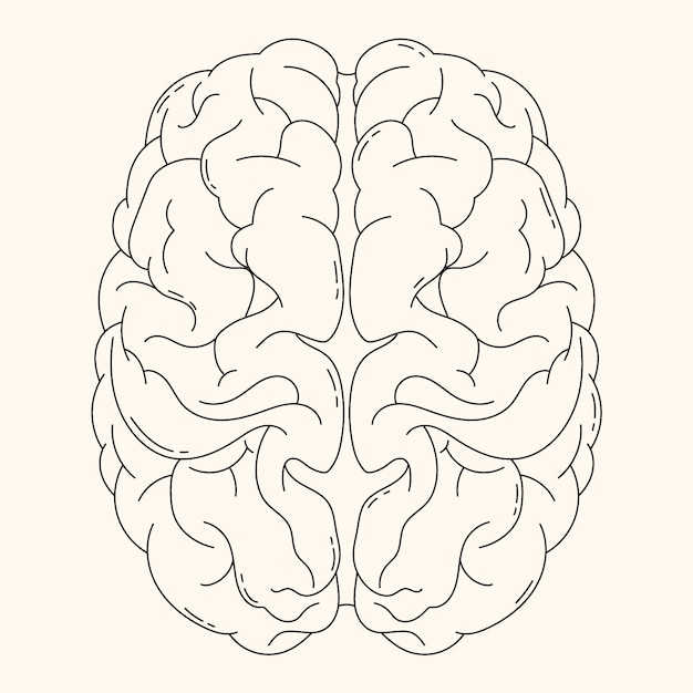 Vetor ilustração de desenho cerebral desenhada à mão