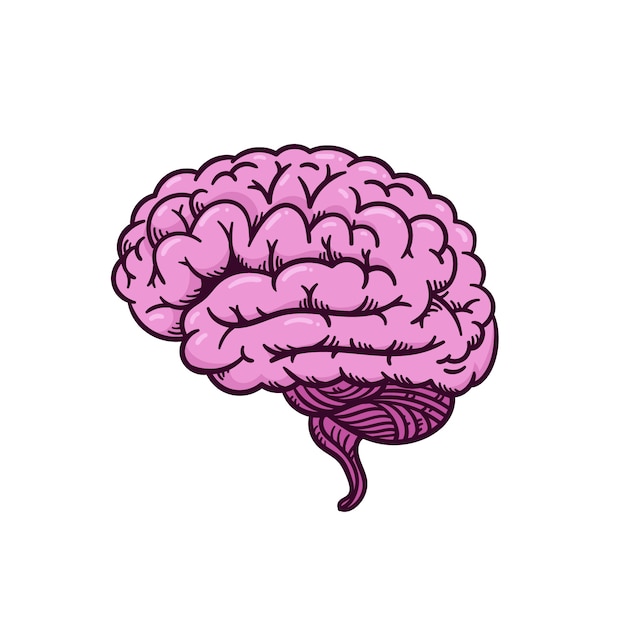 Vetor ilustração de desenho cerebral desenhada à mão