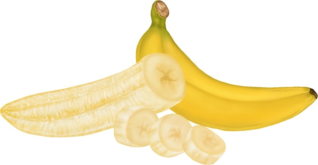 Vetor ilustração de desenho de banana fresca