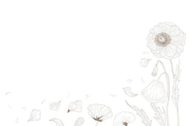 Ilustração de desenho de flores e folhas de papoula de fundo