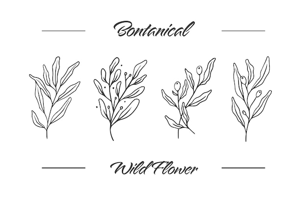 Vetor ilustração de desenho de mão orgânica de flores silvestres botânicas