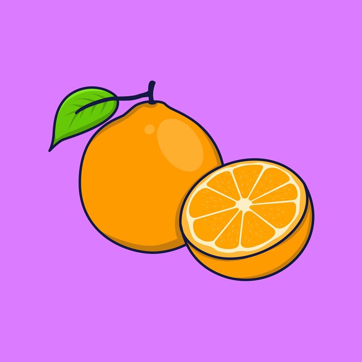 Vetor ilustração de desenho vetorial de fruta laranja fatiada