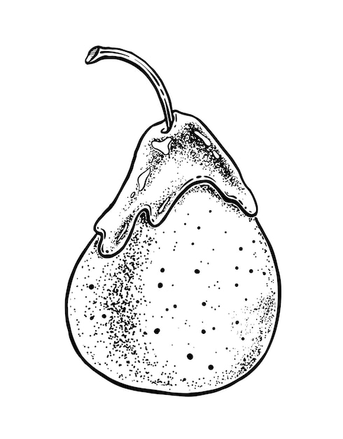 Ilustração de desenho vetorial de pêra caramelizada