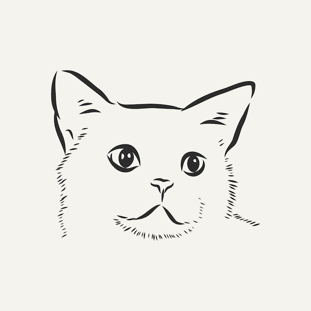 Ilustração Realista Do Desenho Vetorial Do Gato De Estimação Fofo  Ilustração Stock - Ilustração de assento, olhos: 178340380