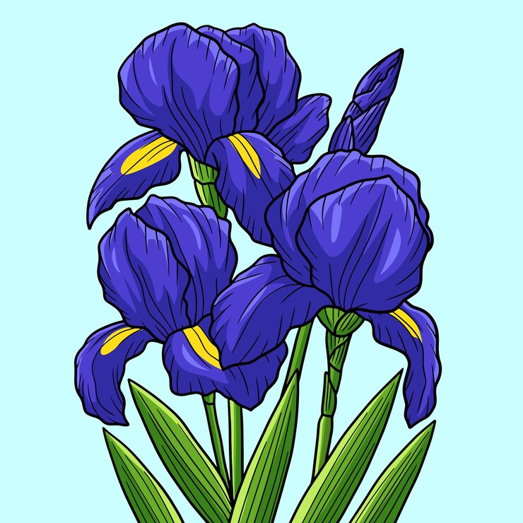 Vetor ilustração de desenhos animados coloridos de flores de íris