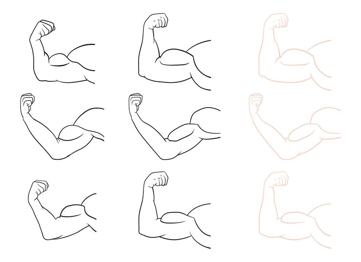 Vetor ilustração de design de vetor de braço muscular isolada no fundo branco