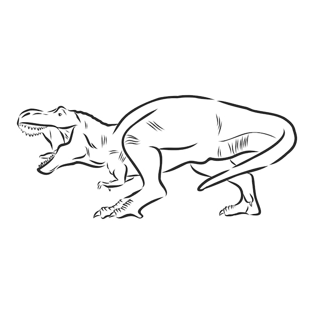 Ilustração de dinossauro, desenho vetorial, arqueologia selvagem