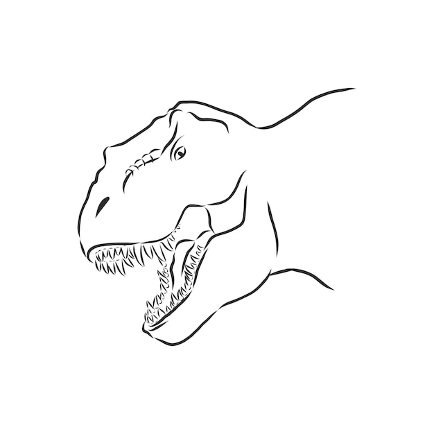 Dinossauro desenho realista 241221 Vetor no Vecteezy