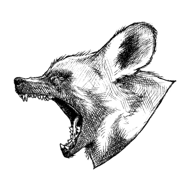 Ilustração de esboço de lycaon pictus de cão selvagem africano
