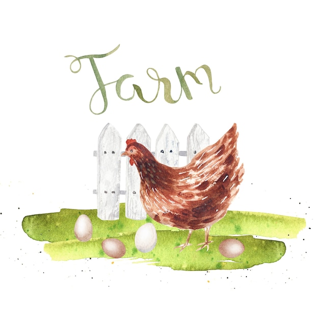 Ilustração de fazenda de galinha desenhada à mão em aquarela