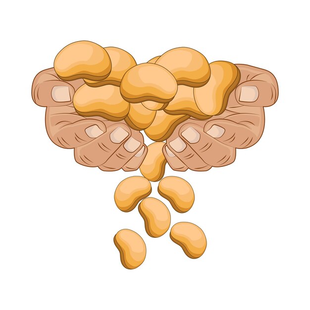 Vetor ilustração de feijão
