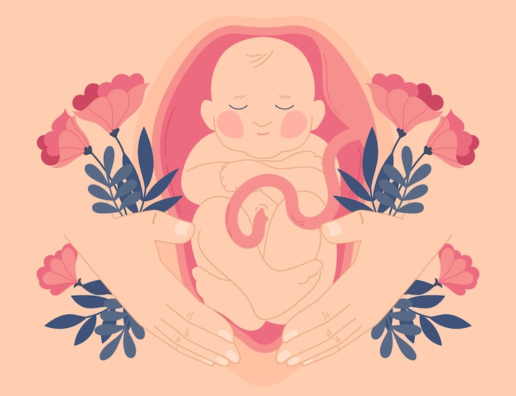 Vetor ilustração de feto desenhado à mão