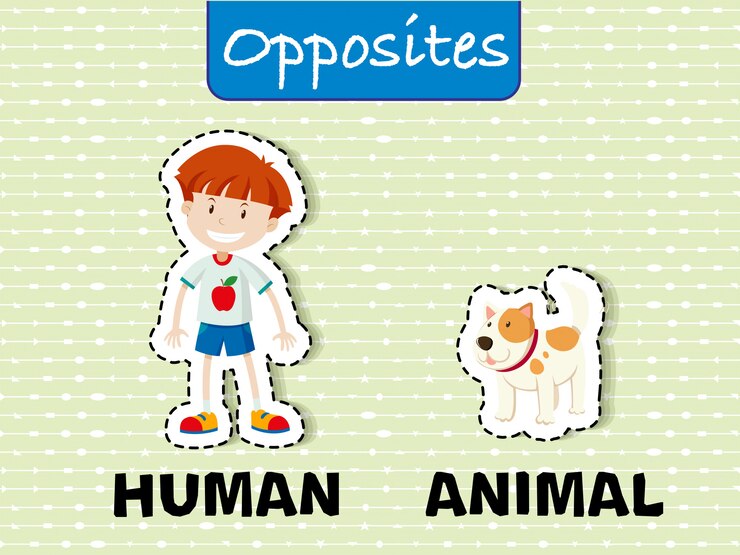 Vetor ilustração de flashcard de educação de palavra oposta
