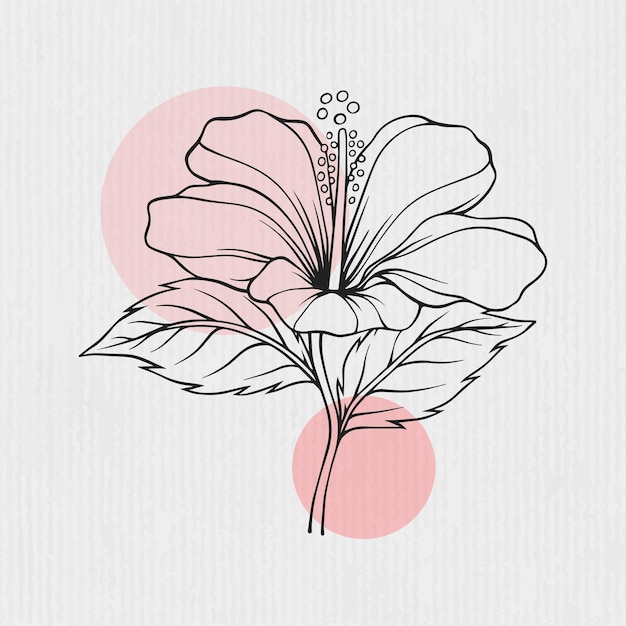 Ilustração de flor de hibisco em estilo de arte de linha