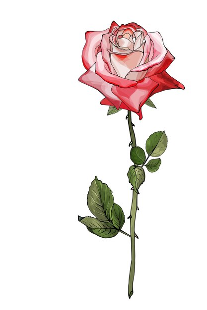 Ilustração de flor rosa vermelha