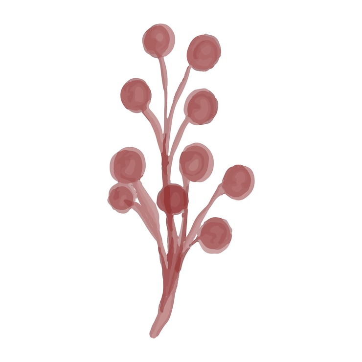 Vetor ilustração de flores aquareladas em fundo branco