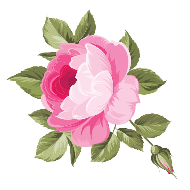 Ilustração de flores cor de rosa