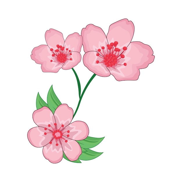 Vetor ilustração de flores de cerejeira