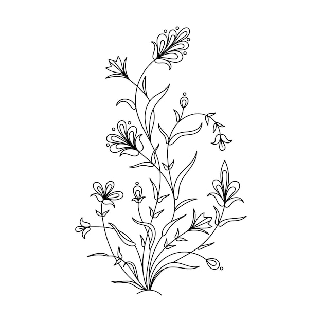 Vetor ilustração de flores de ervas desenhadas à mão em fundo branco