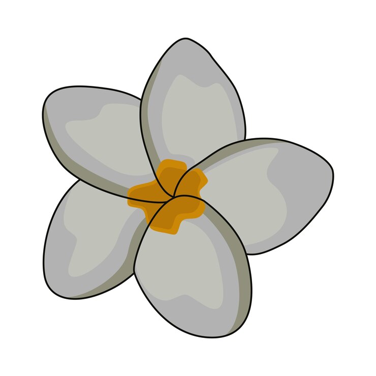Vetor ilustração de flores do camboja