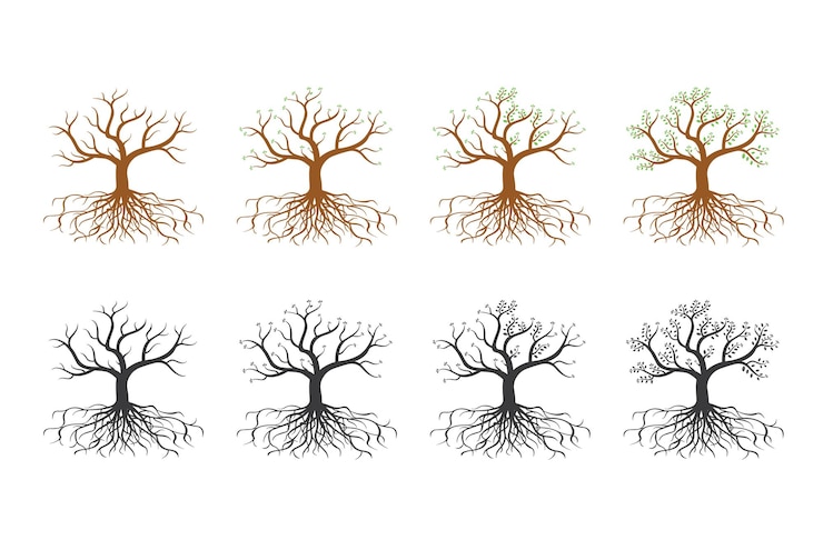 Vetor ilustração de folhas em crescimento com raízes