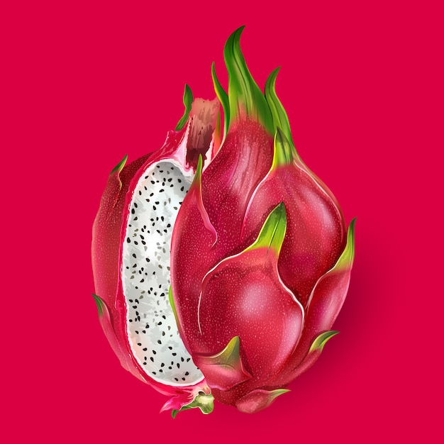 Vetor ilustração de fruta do dragão